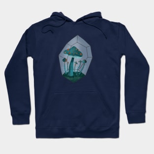 Miniature fairy garden Hoodie